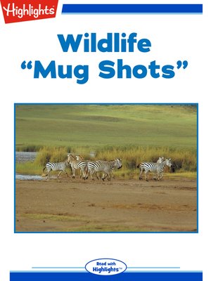 cover image of Wildlife: Mug Shots